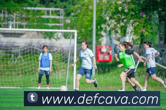 体育数据展示
